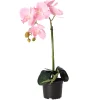 Natural Collections Kunstplanten En Kunstbloemen>Orchidee 38 cm roze