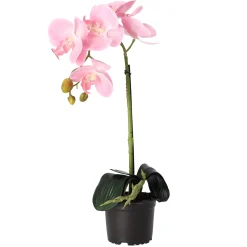 Natural Collections Kunstplanten En Kunstbloemen>Orchidee 38 cm roze