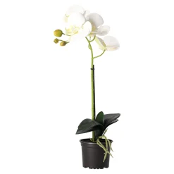 Natural Collections Kunstplanten En Kunstbloemen>Orchidee 38 cm wit