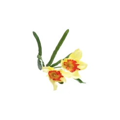 Kunstplanten En Kunstbloemen><noscript><img width=