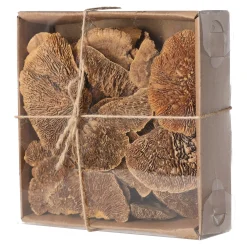 Natural Collections Woondecoratie>Paddenstoel deco naturel 120g