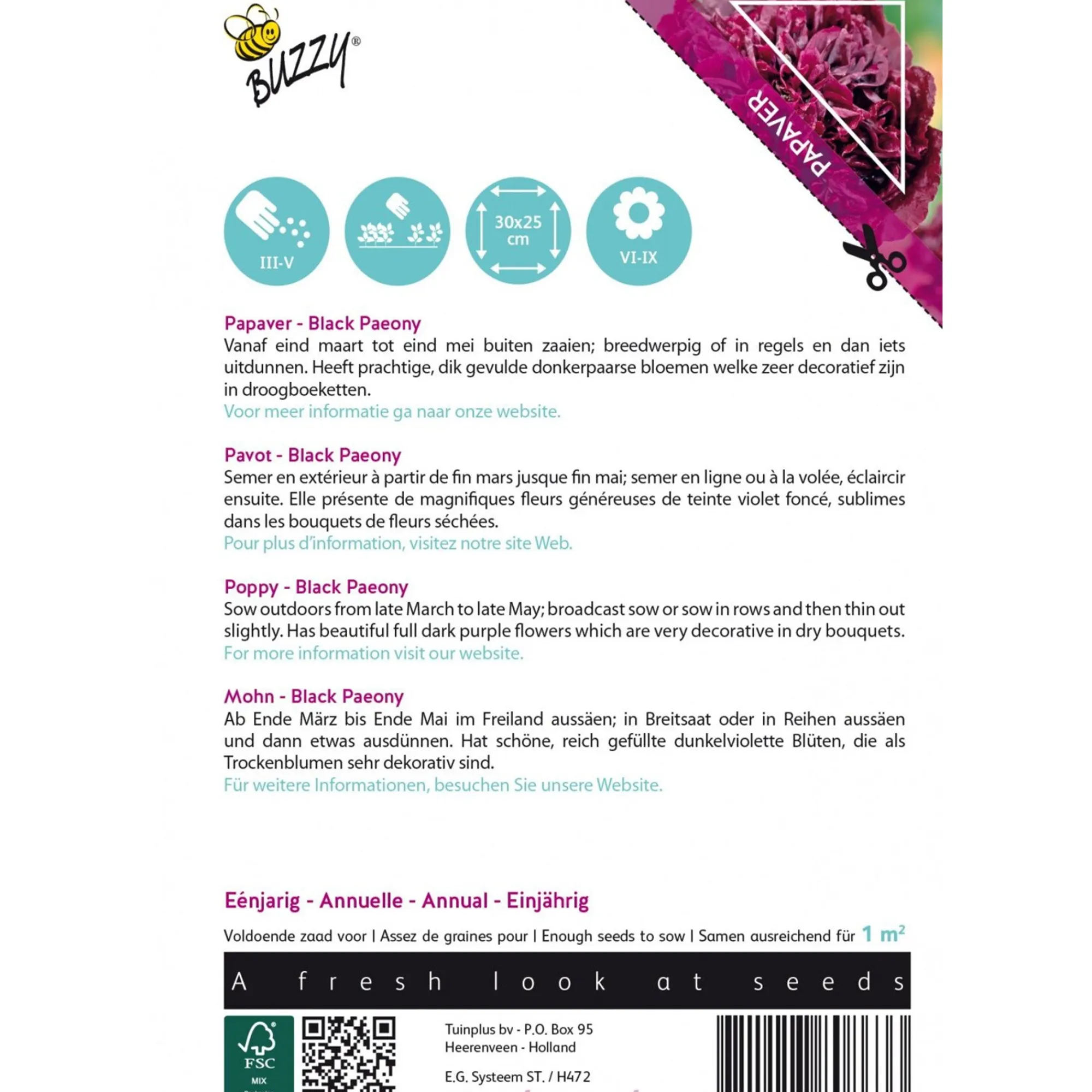 Buzzy Moestuin>Papaver Black Paeony