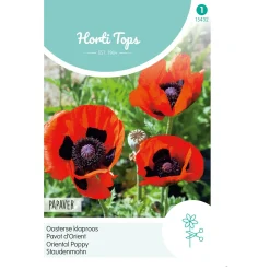 Horti Tops Moestuin>Papaver Orientale Oosterse klaproos rood