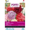 Buzzy Moestuin>Papaver Pioenbloemig
