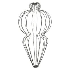 O'malley Kerstdecoratie|Kerstverlichting>Pegel micro draad 75 cm 320LED-cg