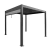Bois le Duc Overkapping Tuin>Pergola Domo 3x4M