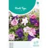 Horti Tops Moestuin>Petunia laag mix