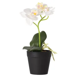 Kunstplanten En Kunstbloemen>Phalaenopsis in pot wit 25 x 15 cm