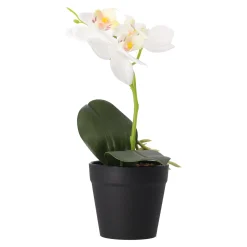 Kunstplanten En Kunstbloemen><noscript><img width=