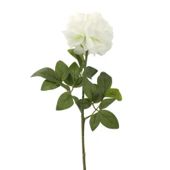 Everlands Kunstplanten En Kunstbloemen>Pioen creme 72 cm