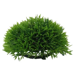 Flamingo Aquariumdecoratie En Accessoires>Plant aquarium halve mosbal 12cm