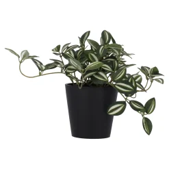 O'malley Kunstplanten En Kunstbloemen>Plant green gem 18 cm