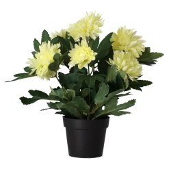 O'malley Kunstplanten En Kunstbloemen>Plant P 4 assorti