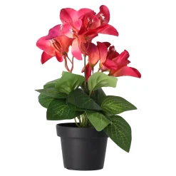 O'malley Kunstplanten En Kunstbloemen>Plant Q 12 assorti