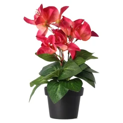 O'malley Kunstplanten En Kunstbloemen>Plant Q 12 assorti