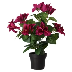 O'malley Kunstplanten En Kunstbloemen>Plant V 4 assorti