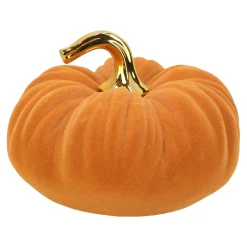 Van Cranenbroek Woondecoratie>Pompoen bruin 21x15cm