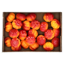 O'malley Woondecoratie>Pompoen mini mix