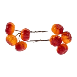 O'malley Woondecoratie>Pompoen mini mix