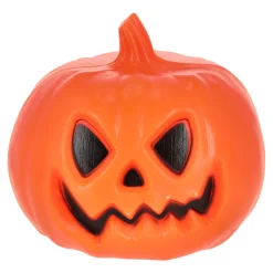 Van Cranenbroek Woondecoratie>Pompoen plastic 20x20cm