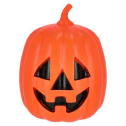 Van Cranenbroek Woondecoratie>Pompoen plastic 20x25cm