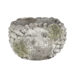Vazen En Potten>Pot egel 14 cm cement