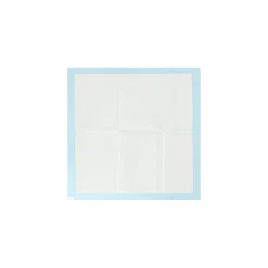 Friendly Pet Hondenverzorging><noscript><img width=