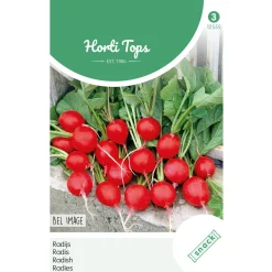 Horti Tops Moestuin>Radijs Bel Image zaad