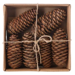 Natural Collections Woondecoratie>Raicone nature 6st