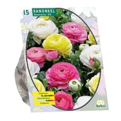 Baltus Bodemverbeteraars>Ranonkel Pastel mix per 15