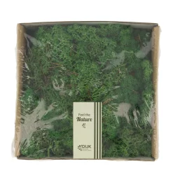 Natural Collections Woondecoratie>Rendiermos mosgreen 250g