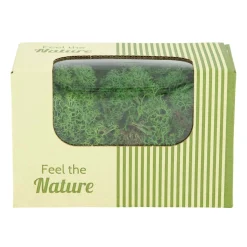 Natural Collections Woondecoratie>Rendiermos mosgroen 50g