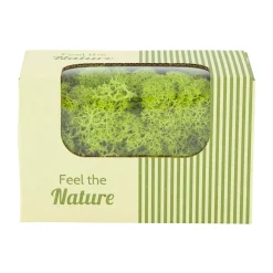 Natural Collections Woondecoratie>Rendiermos springgreen 50g