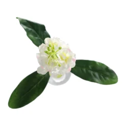 O'malley Kunstplanten En Kunstbloemen><noscript><img width=