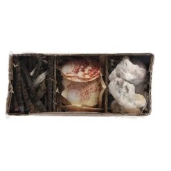 Natural Collections Woondecoratie>Schelpen 18 x 6 cm 3 assorti