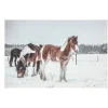 O'malley Kerstdecoratie>Schilderij LED paarden 60 x 40 cm