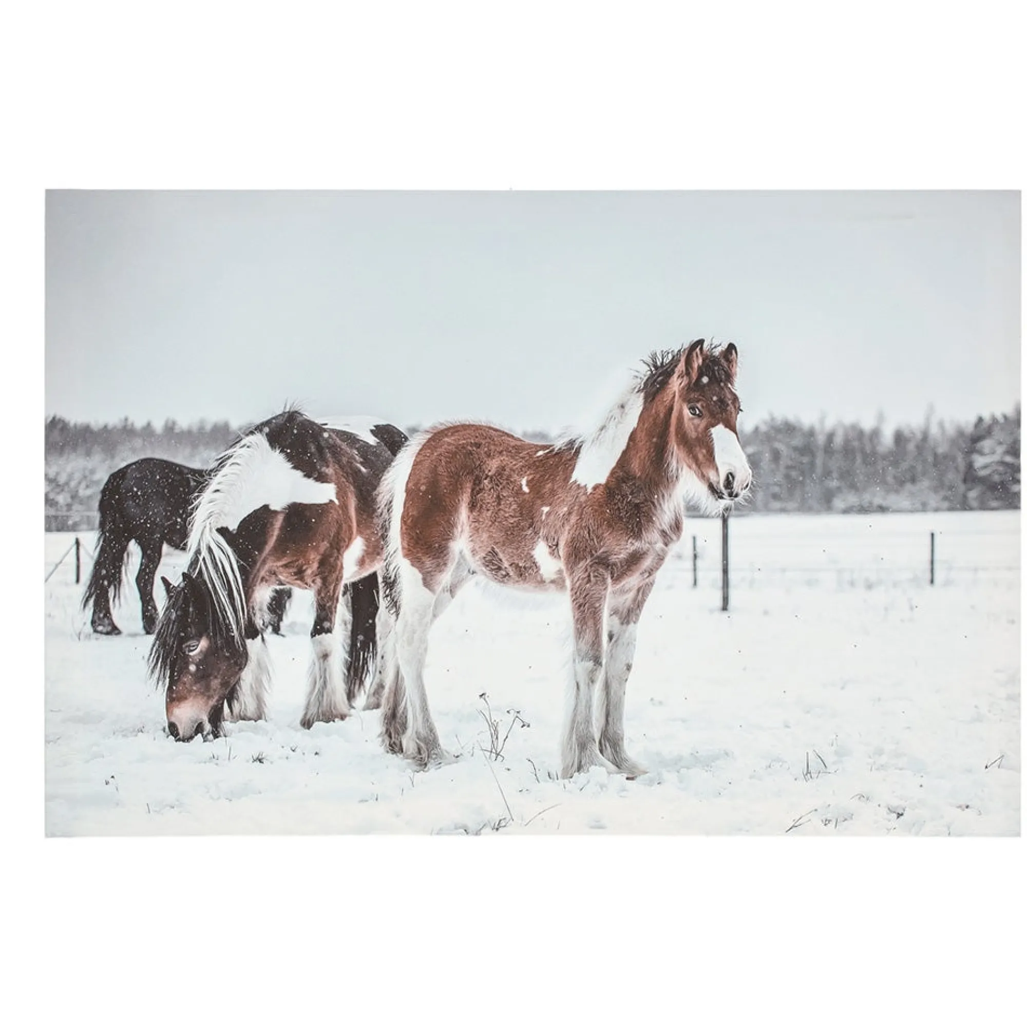 O'malley Kerstdecoratie>Schilderij LED paarden 60 x 40 cm