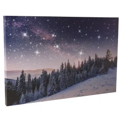 Van Cranenbroek Kerstdecoratie>Schilderij Vallende Ster A 60x40 cm