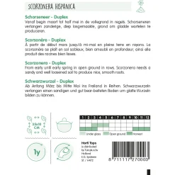 Horti Tops Moestuin>Schorseneer Duplex