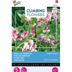 Buzzy Moestuin>Siererwt Unwin Striped