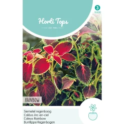 Horti Tops Moestuin>Siernetel Regenboog mix