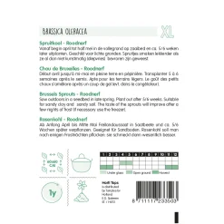 Horti Tops Moestuin>Spruitkool roodnerf