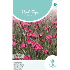 Horti Tops Moestuin>Steenanjer Karmijnrose