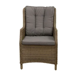 Bois le Duc Tuinstoelen>Stoel Carano mix grijs met kussen