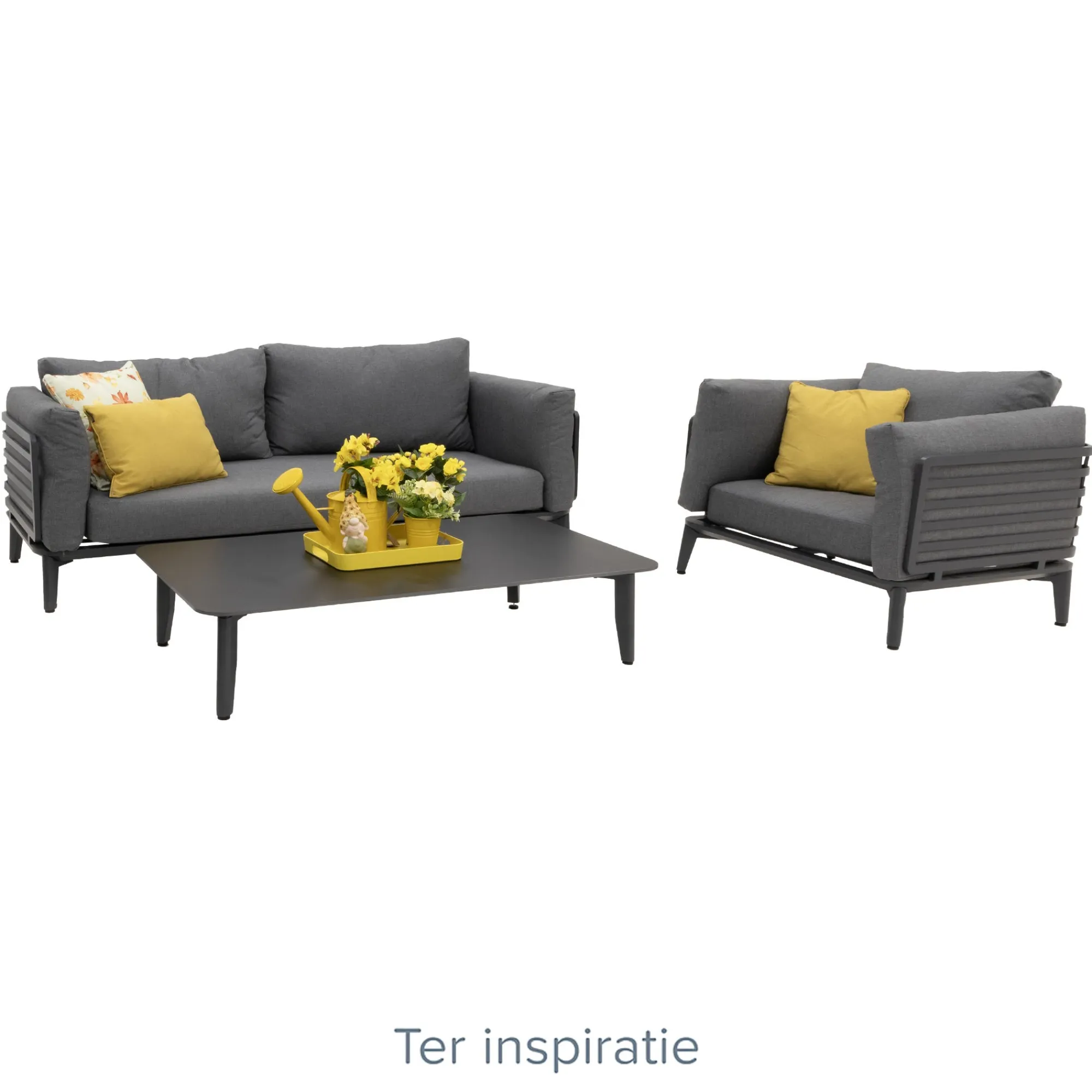 Bois le Duc Loungesets>Stoel Pereto antraciet met kussens