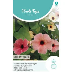 Horti Tops Moestuin>Suzanne-met-de-mooie-ogen African Sunset