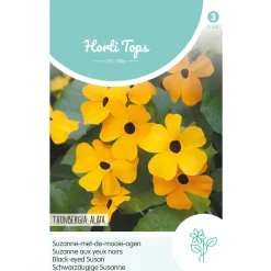 Horti Tops Moestuin>Suzanne-met-de-mooie-ogen oranje
