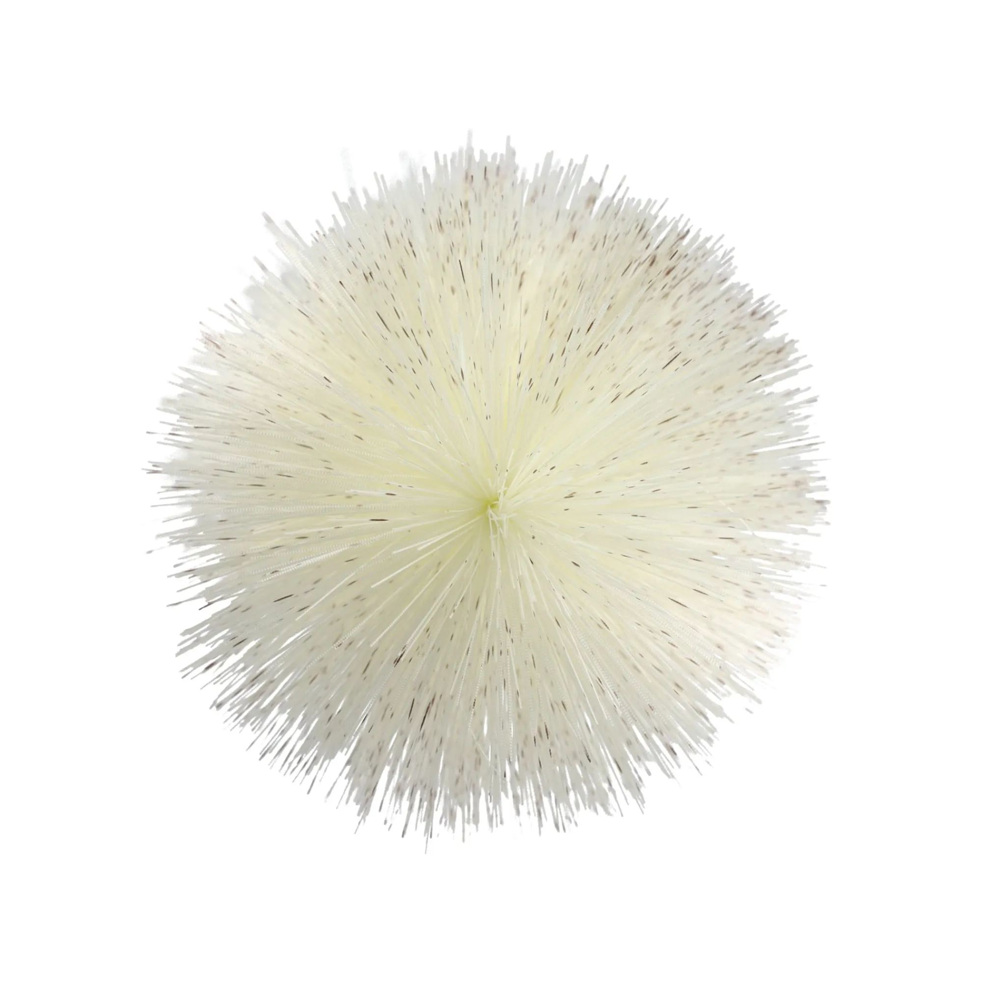 O'malley Kunstplanten En Kunstbloemen>Tak fluff 82 cm crème