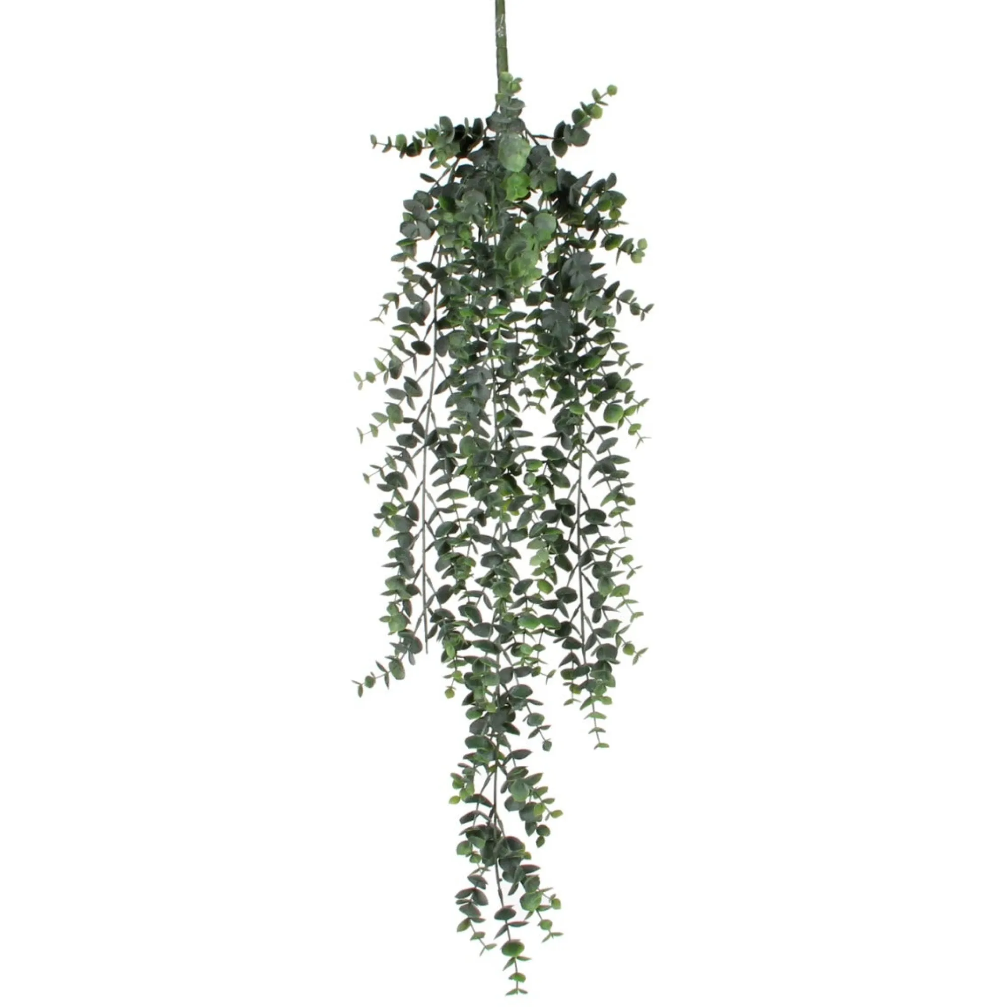 Mica Decorations Kunstplanten En Kunstbloemen>Tak hangend eucalyptus 78 x 22 cm