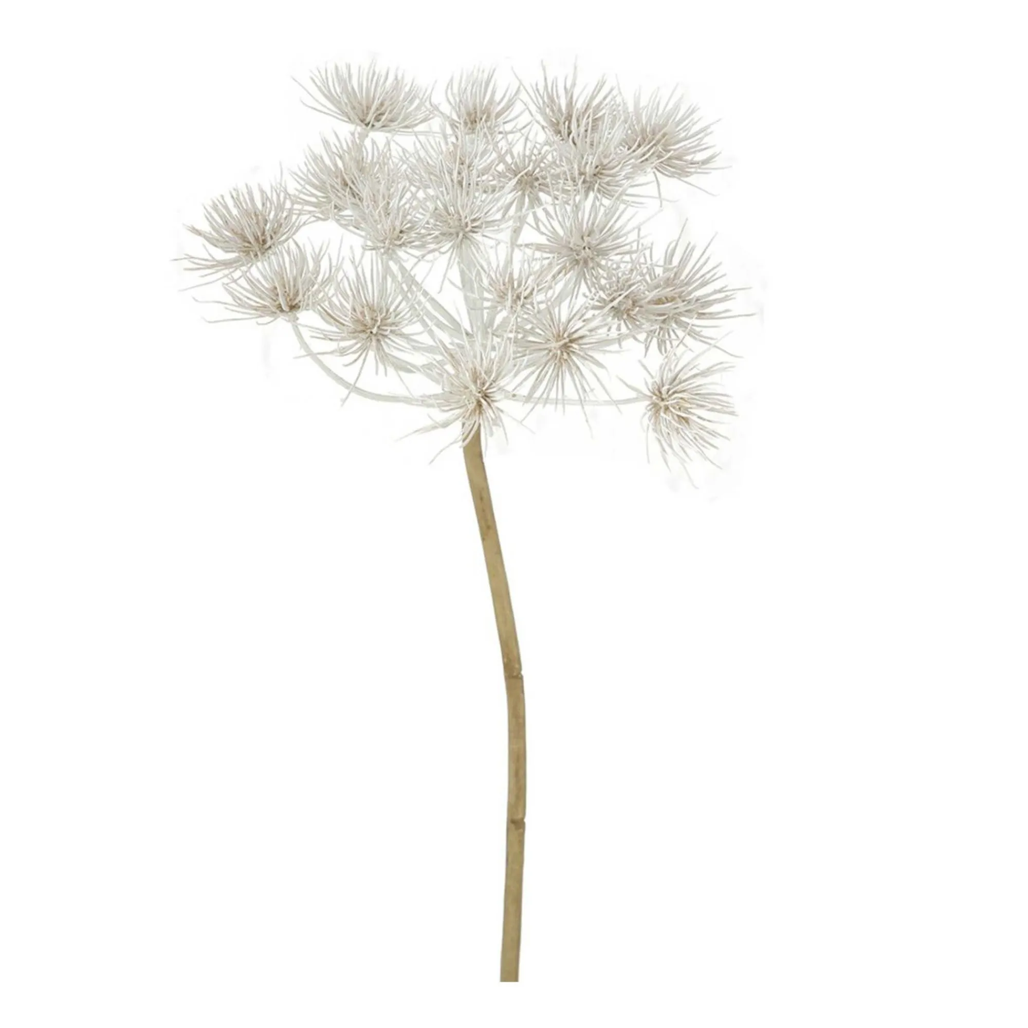 Boltze home Kunstplanten En Kunstbloemen>Tak Hogweed creme 76 cm